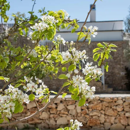 Masseria Faresalento Farm stay