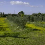 Farm stay Masseria Faresalento *