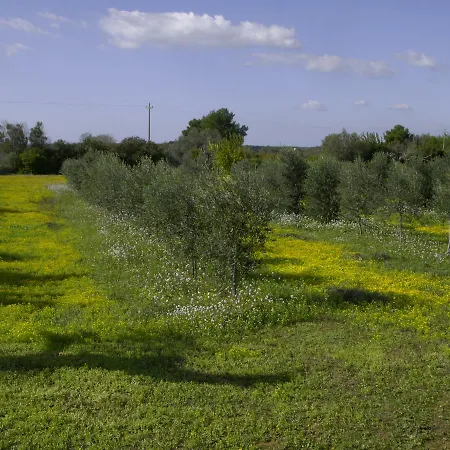Séjour à la ferme Masseria Faresalento *