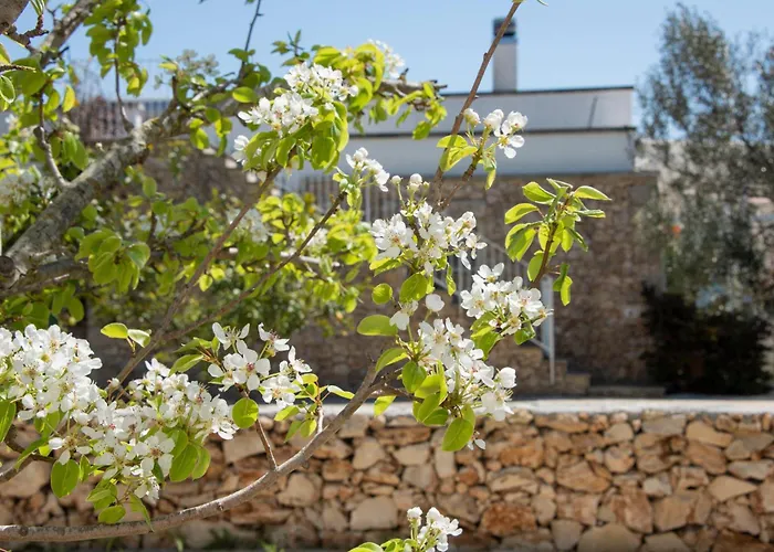 Masseria Faresalento Farm stay