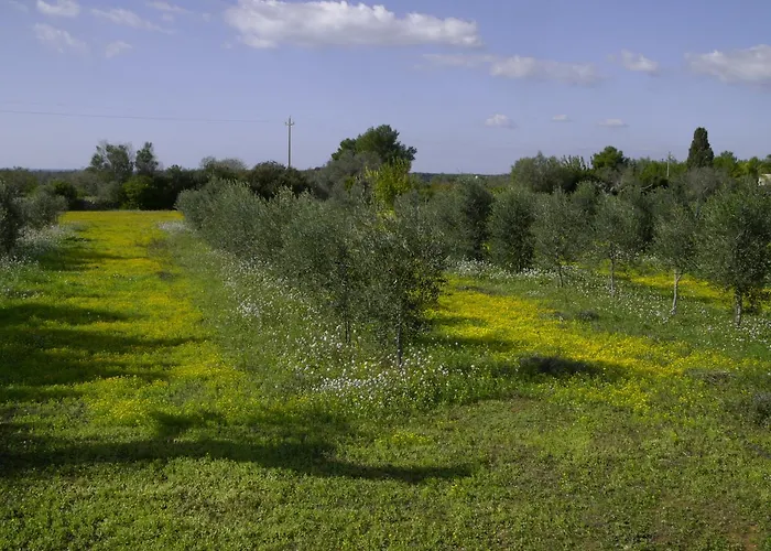 Farm stay Masseria Faresalento *